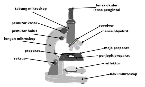 mikroskop